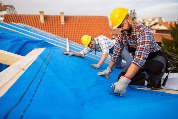 Best Residential Roofing Contractor  in Lake Hallie, WI