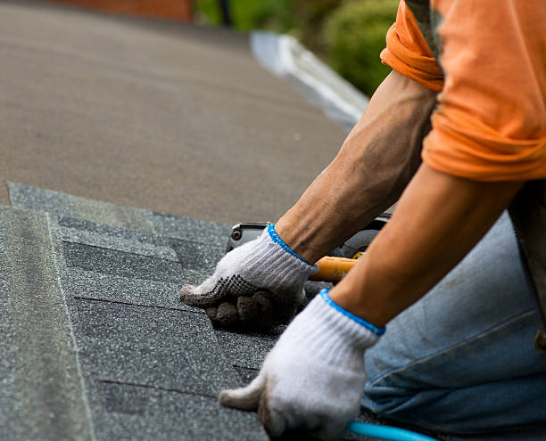 Best Affordable Roofing Company  in Lake Hallie, WI