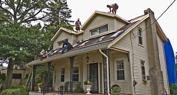 Best Affordable Roofing Company  in Lake Hallie, WI