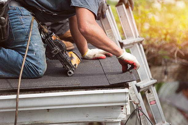 Best Roof Gutter Cleaning  in Lake Hallie, WI