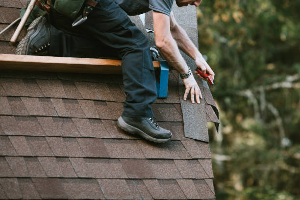 Best Commercial Roofing Services  in Lake Hallie, WI