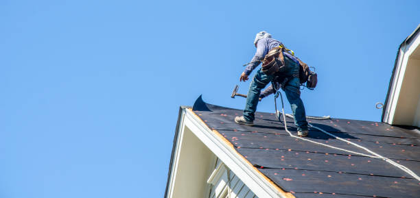 Best Roof Gutter Cleaning  in Lake Hallie, WI